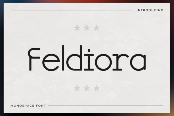 Feldiora: A Modern Sans Serif Font for Editorial Design