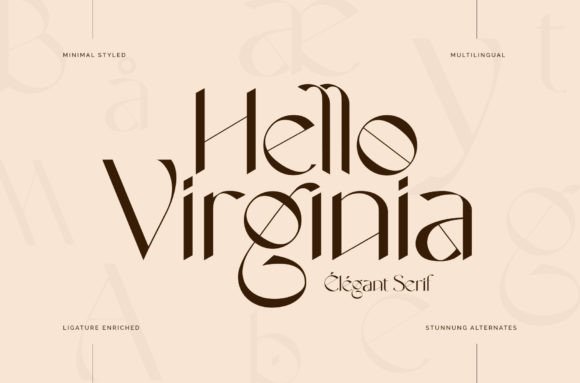 Hello Virginia: The Sans Serif Font That Elevates Campaign Design