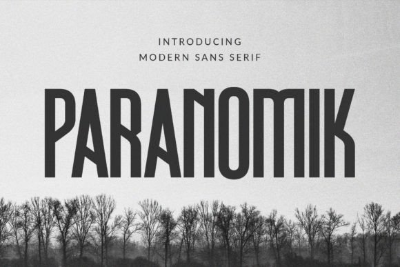 Paranomik: A Modern Sans Serif Font for Web Design